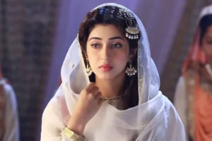Salim Anarkali Drama Review