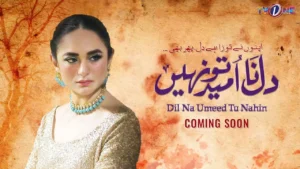 Dil Na Umeed To Nhi Drama Review