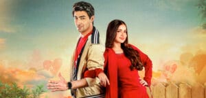 Dil Pe Dastak Drama Review