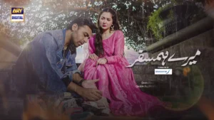 Mere Humsafar Drama Review