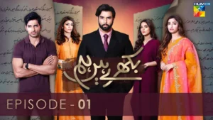 Bikhray Hen Hum Drama Review