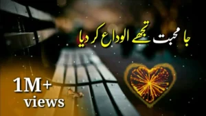 Mohabbat Tujhe Alvida Drama Review