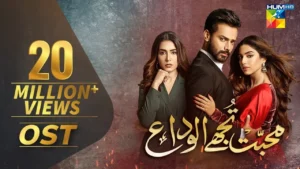 Mohabbat Tujhe Alvida Drama Review