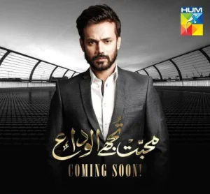 Mohabbat Tujhe Alvida Drama Review