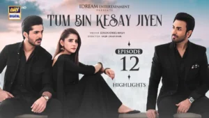 Tum Bin Kesay Jiyen Drama Review