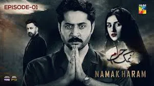 Namak Haram Drama Review