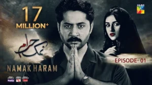  Namak Haram Drama Review