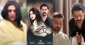 Namak Haram Drama Review