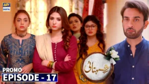 Shehnai Drama Review