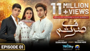 Sirf Tum Drama Review