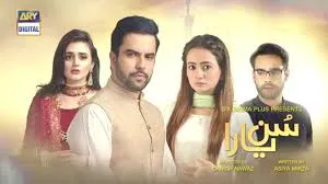 Sun Yaara Drama Review