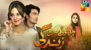 Choti Si Zindagi Drama Review