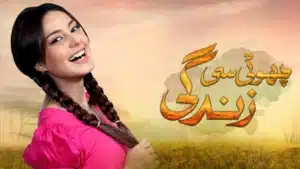 Choti Si Zindagi Drama Review
