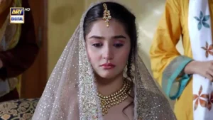 Kaisi Teri Khudgarzi Drama Review