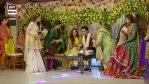 Mein Hari Piya Drama Review