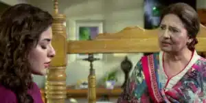 Mein Hari Piya Drama Review