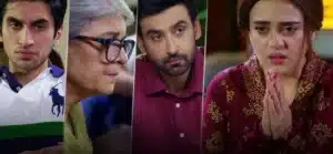 Mein Hari Piya Drama Review