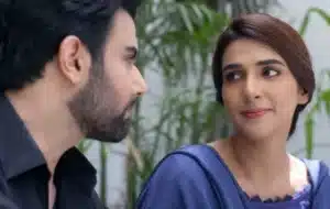 Sila-e-Mohabbat Drama Review