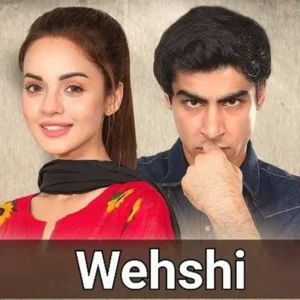 Wehshi Drama Review