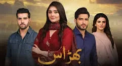Bharaas Drama Review, Cast and Engaing Storyline