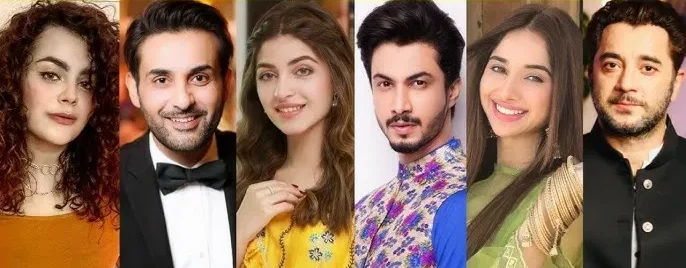 Cast of Dil Awaiz