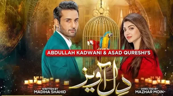 Dil Awaiz Drama Review