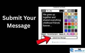 Unsent Message Project